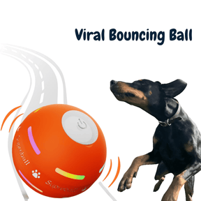 Woofie Viral Bouncing Ball - VANOIR WOOFIES